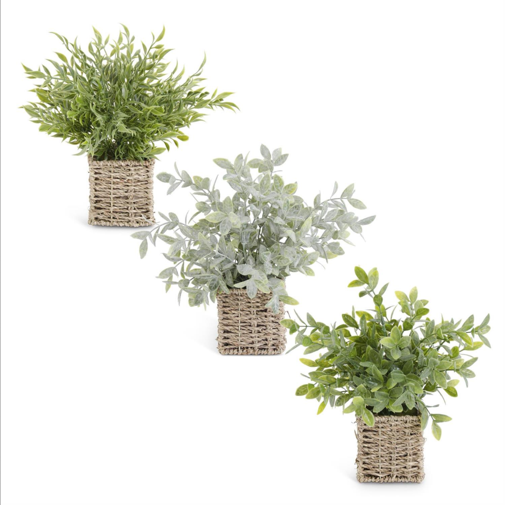small woven baskets for plants Assorted Herbs in Square Woven Basket