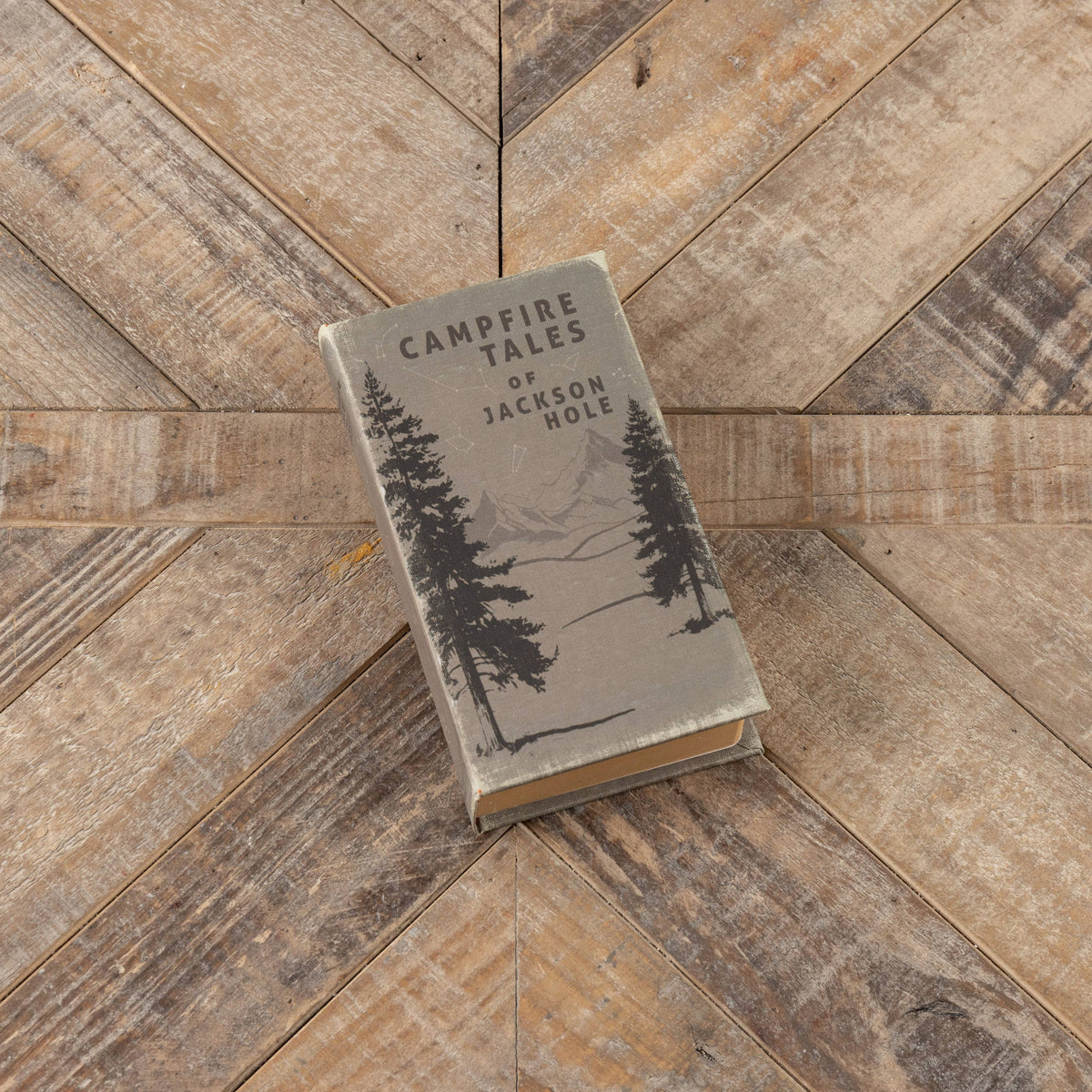 Campfire Tales Journal — alternate view 5