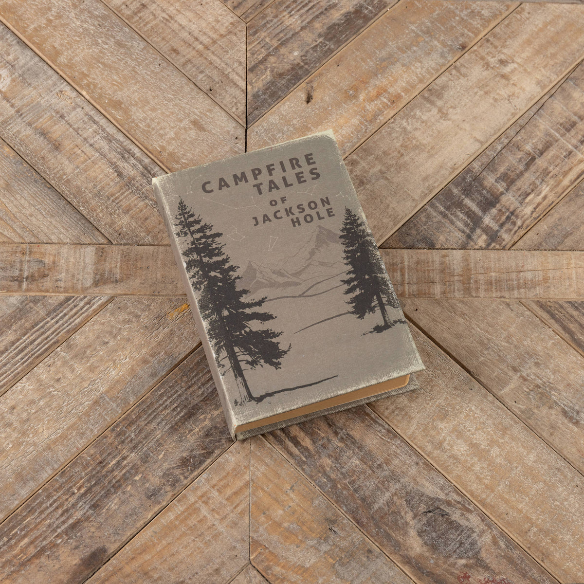Campfire Tales Journal — alternate view 5