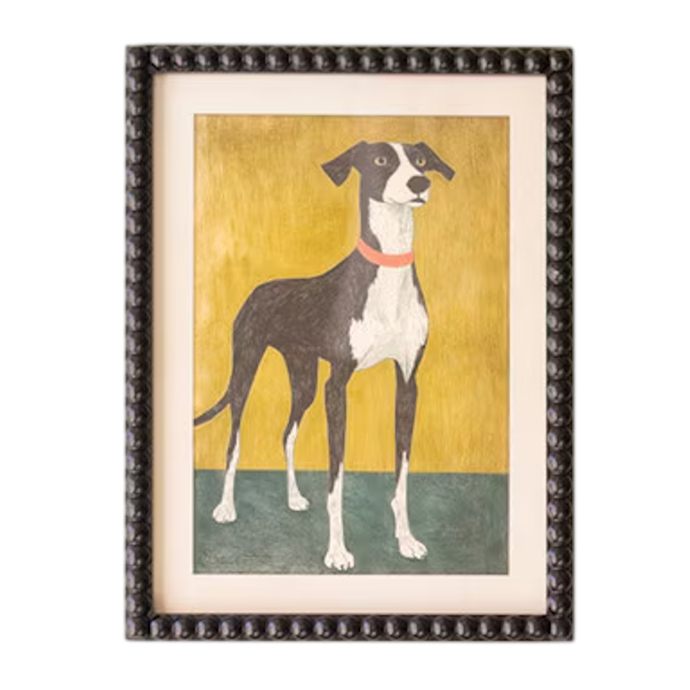 Framed print under glass featuring a standing black and white hound with a pink collar on yellow backdrop.