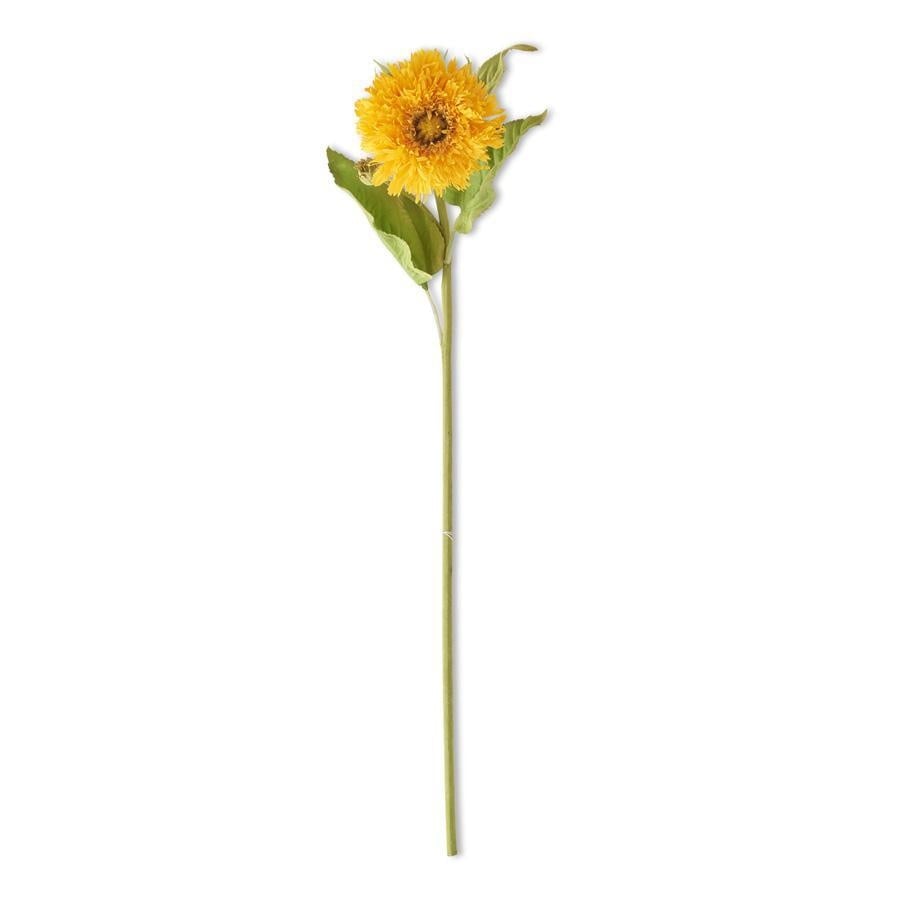 Aster Stem — alternate view 2