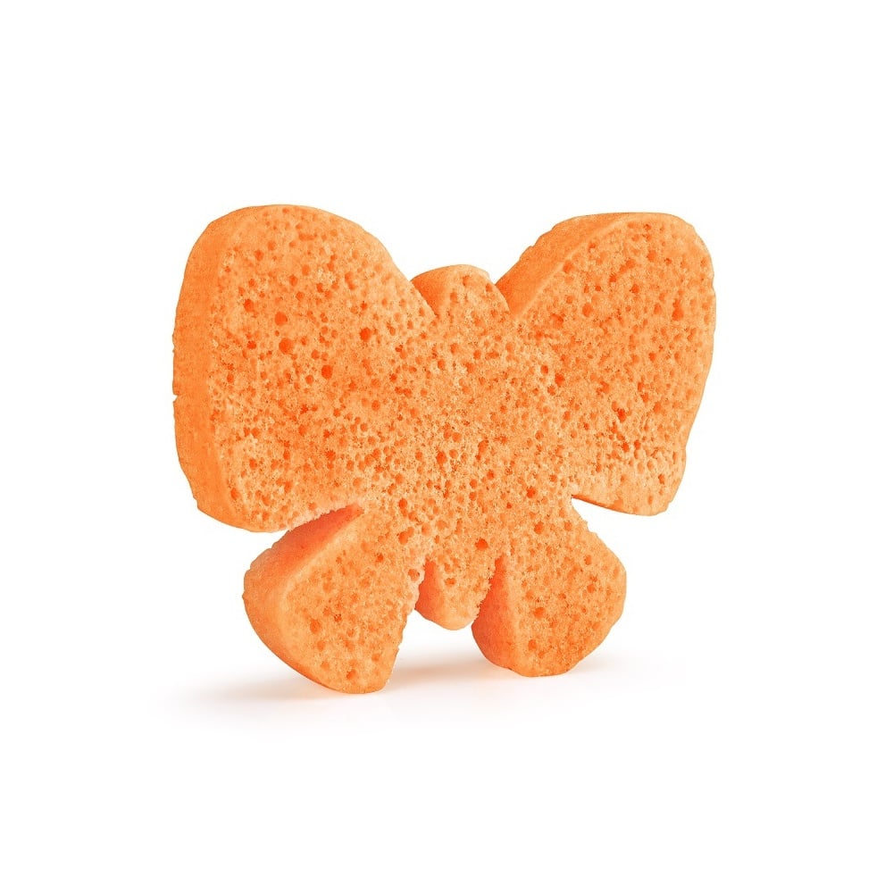 Butterfly Sponge Animal