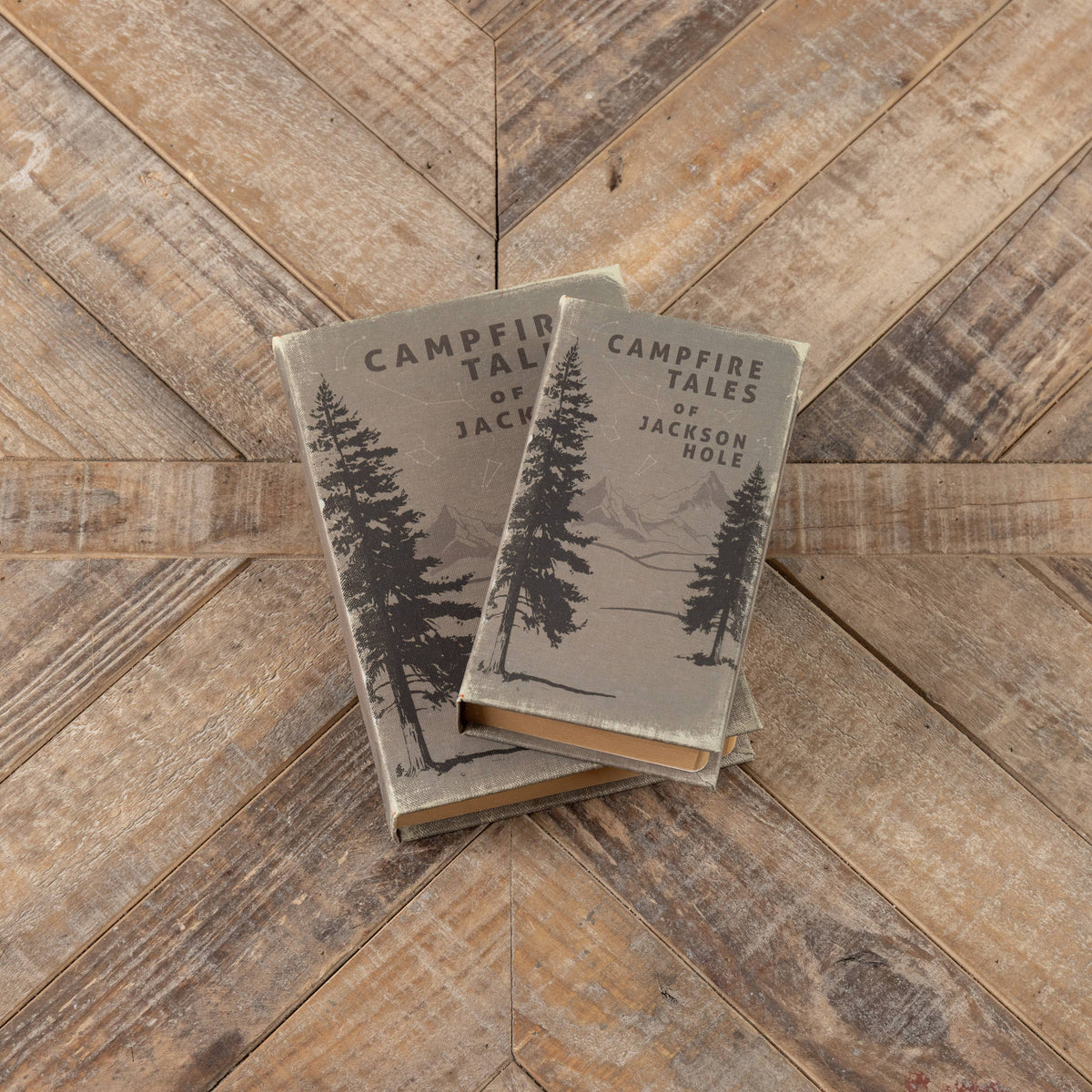 Campfire Tales Journal — alternate view 3
