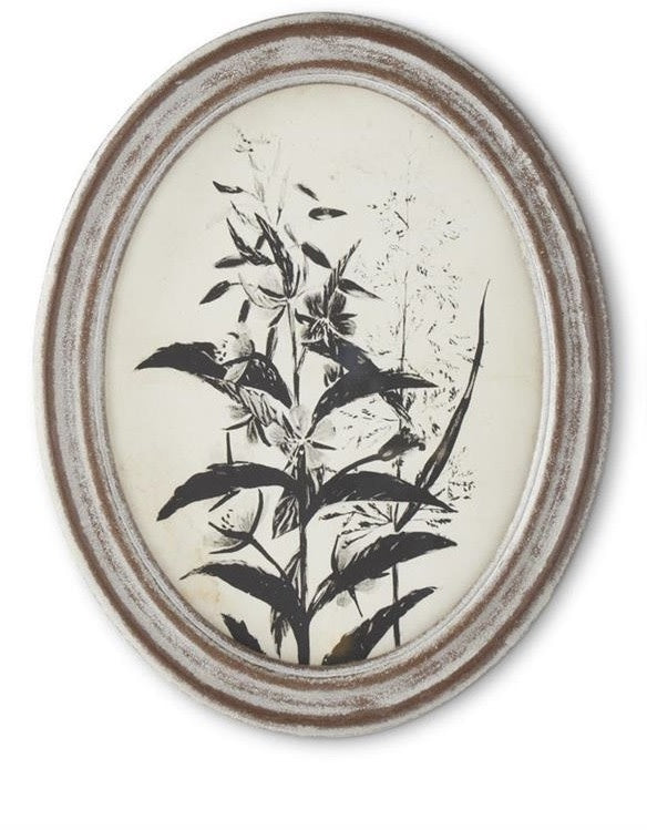 Wood Framed Oval Black & White Botanical Print Wildflower — alternate view 3