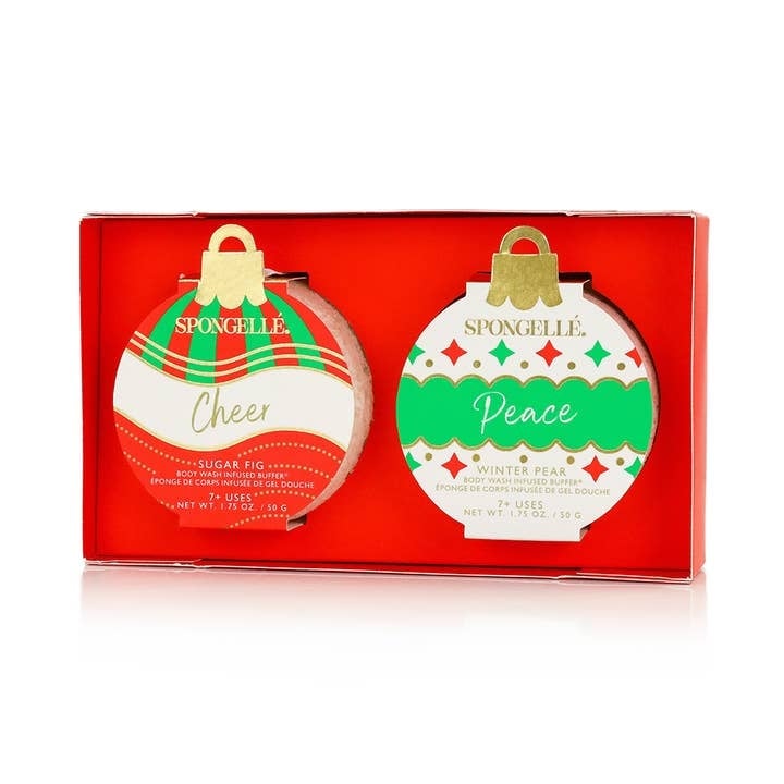 Celebrate the Season Holiday Ornament Gift Set Christmas — alternate view 2