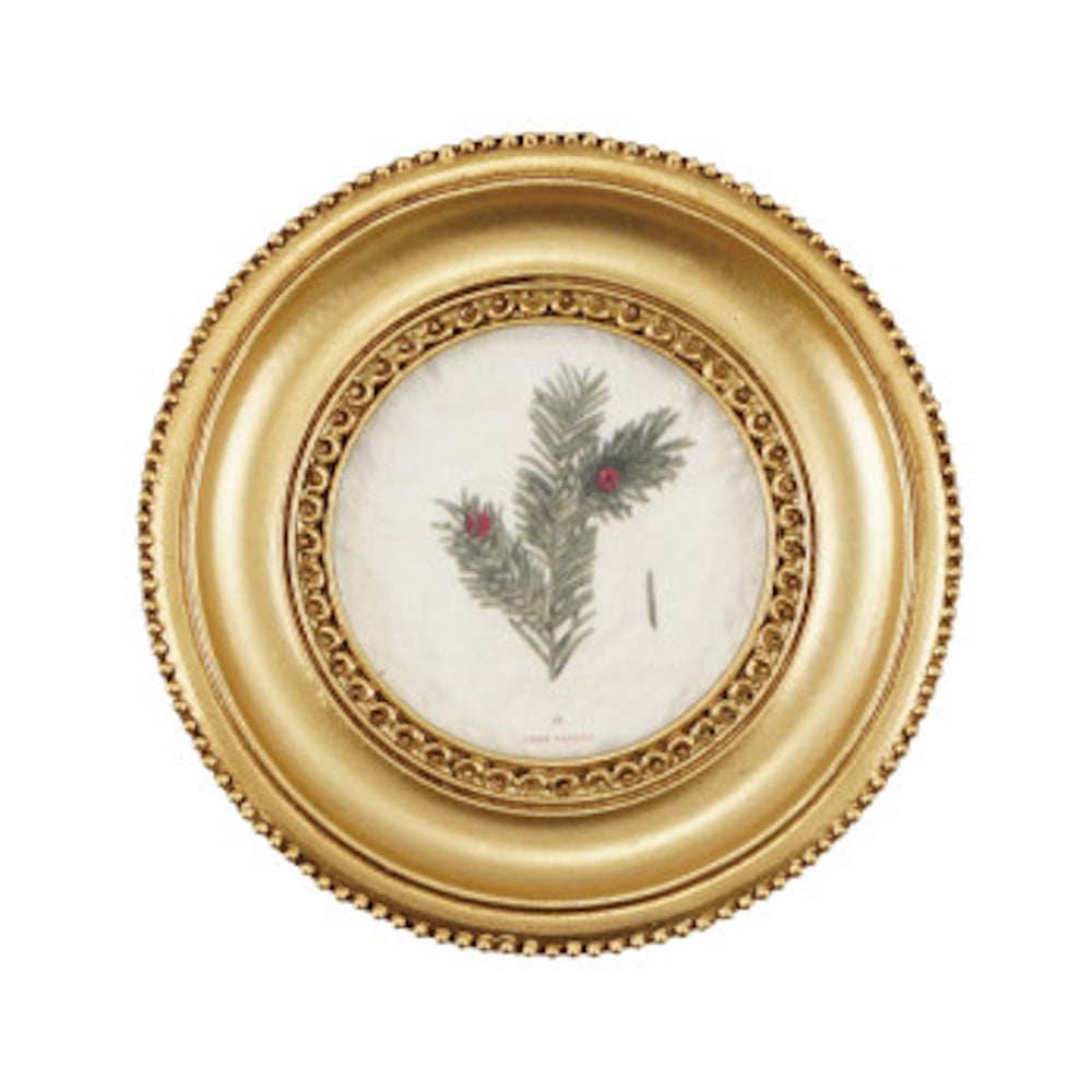 Round gold-framed mini art magnet with an ornate border and botanical pine branch illustration.