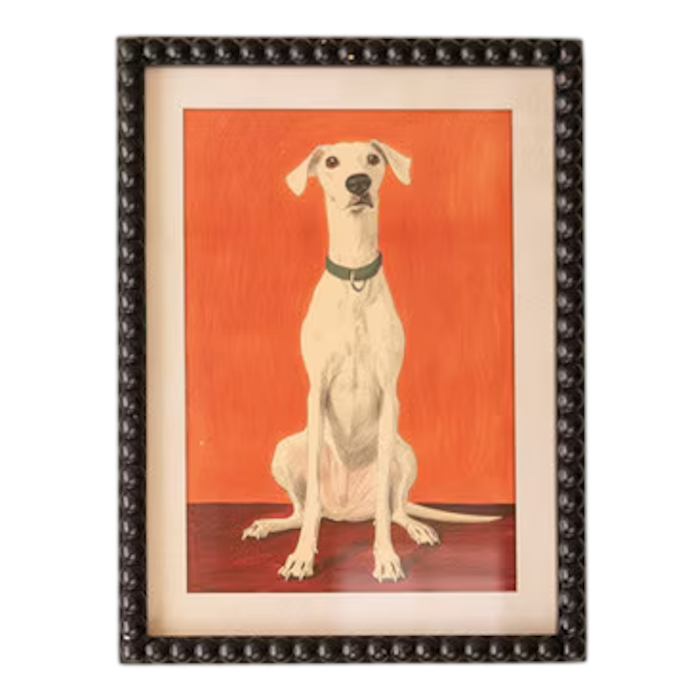 Framed print under glass featuring a seated white hound with a green collar on an orange backdrop.