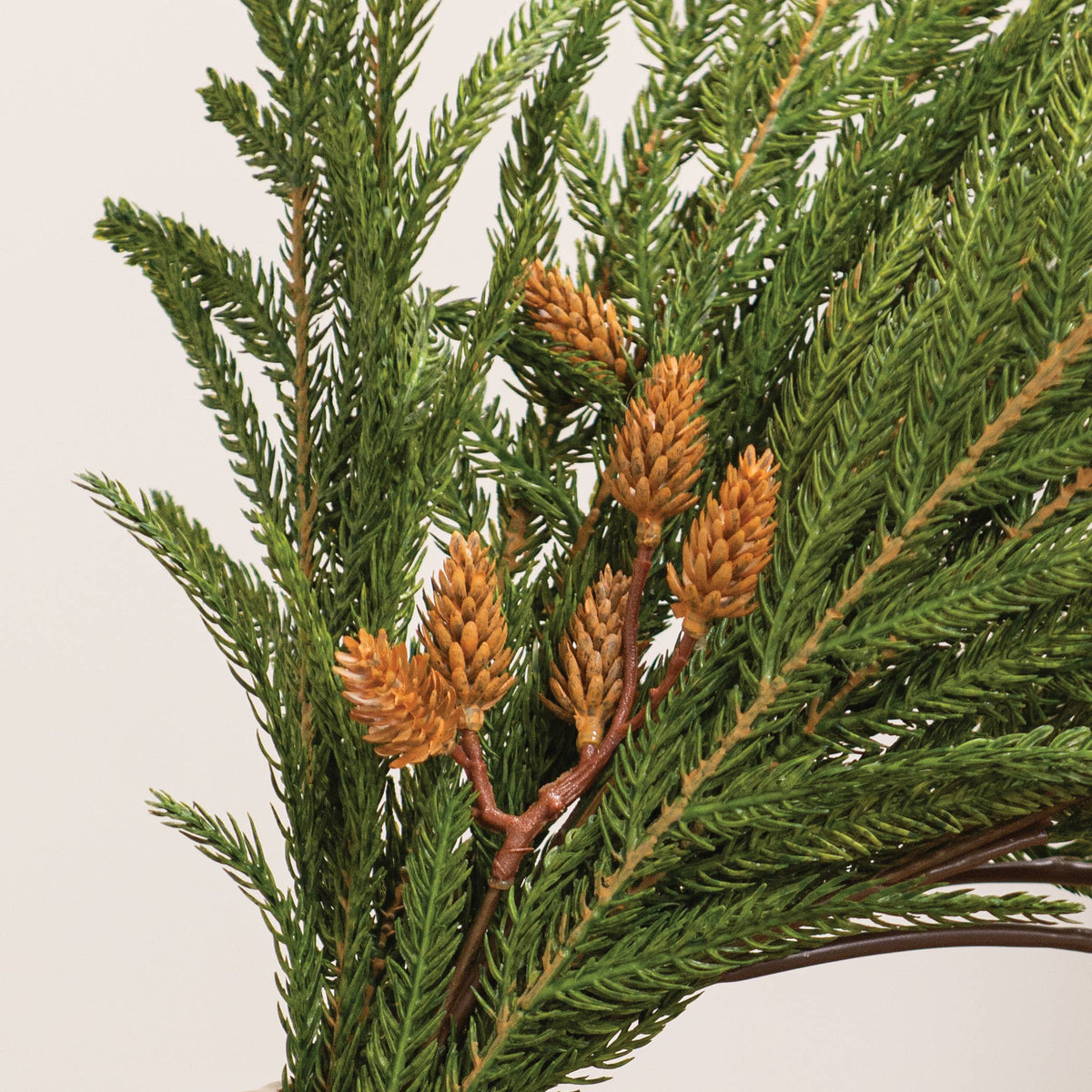 Soft Touch Austrian Pine Hanging Bush — alternate view 3