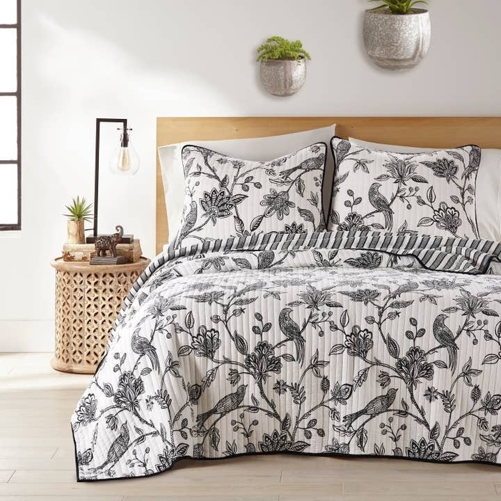 Tanzie Black Quilt Set Black Full/Queen