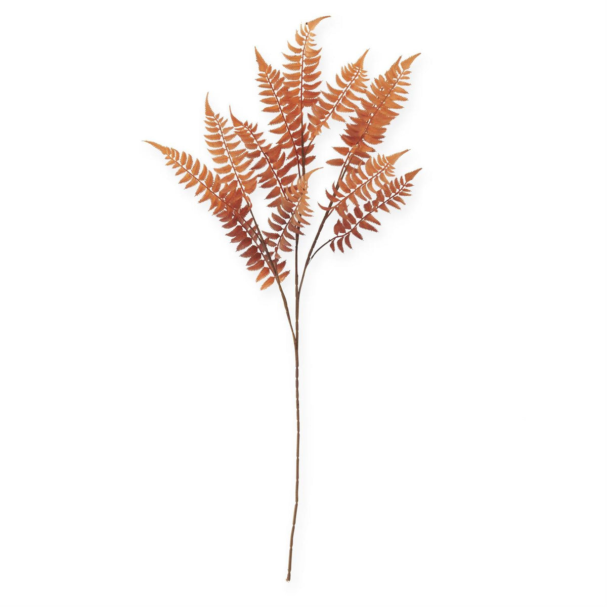 Orange Lady Fern Spray