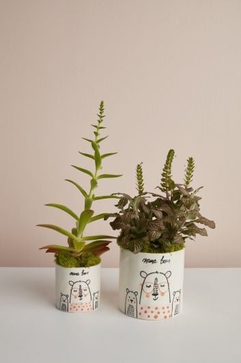 Mama Bear Collection — alternate view 2