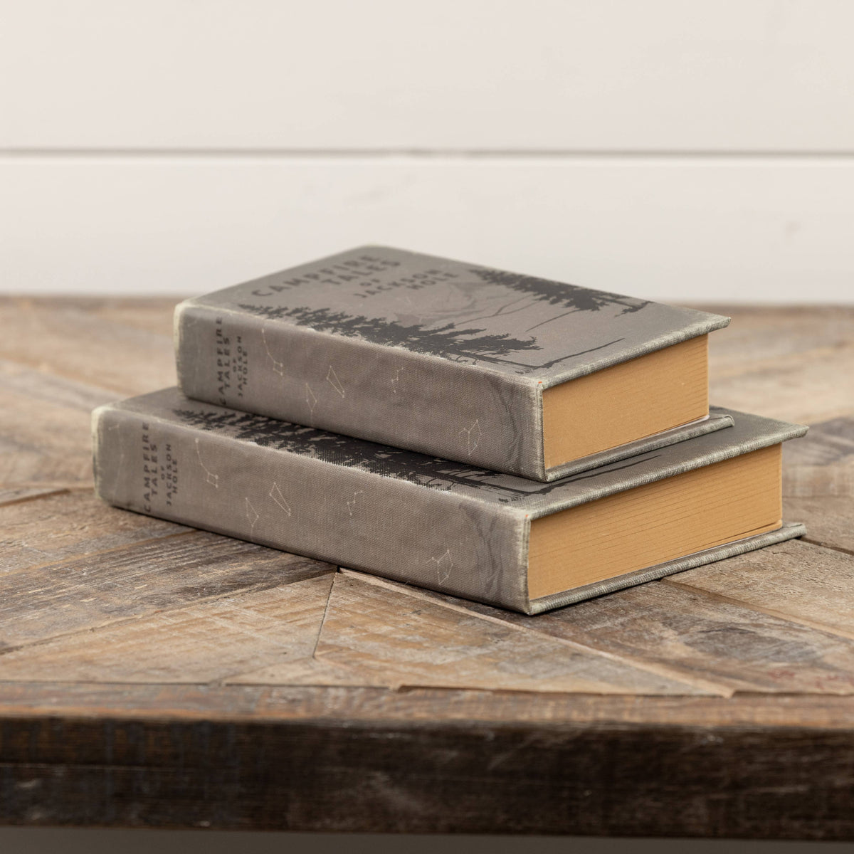 Campfire Tales Journal — alternate view 4