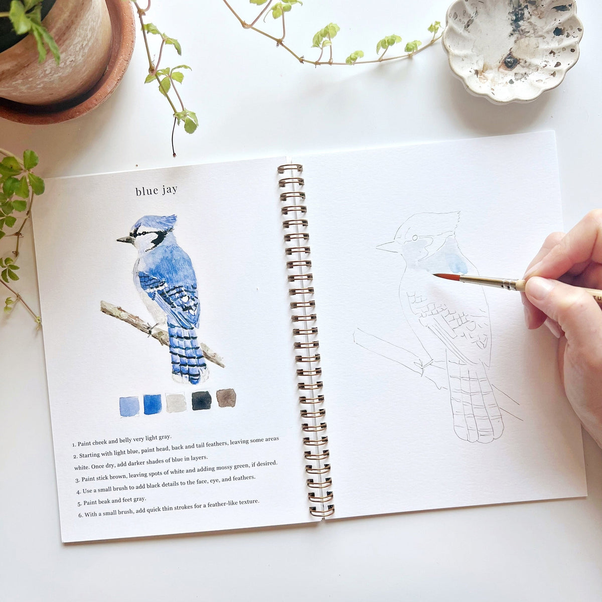 Birds Watercolor Workbook — alternate view 4