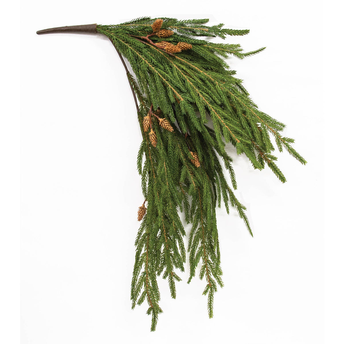 Soft Touch Austrian Pine Hanging Bush — alternate view 2