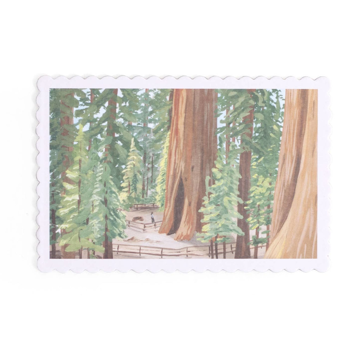 National Parks Postcards Set — alternate view 7