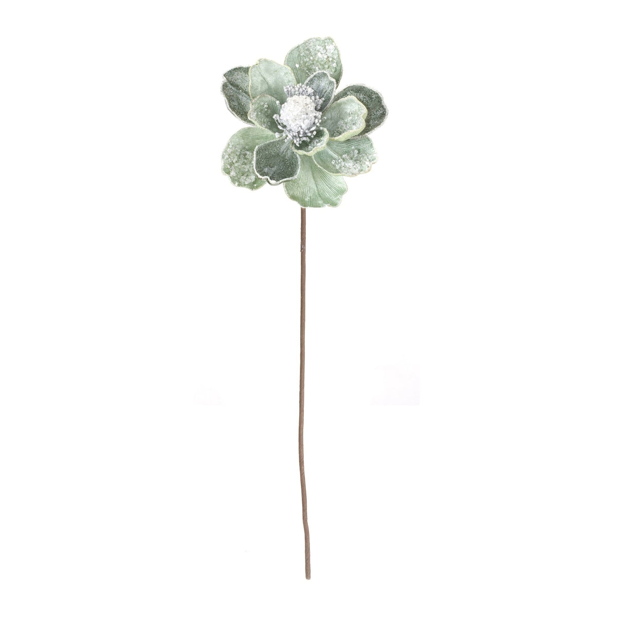 Magnolia Stem — alternate view 2