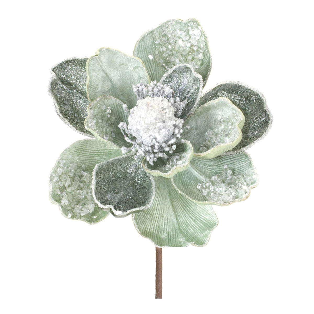 Magnolia Stem
