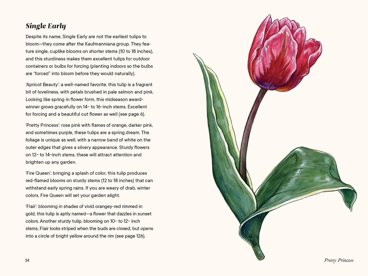 A Little Book of Flowers: Tulips — alternate view 4