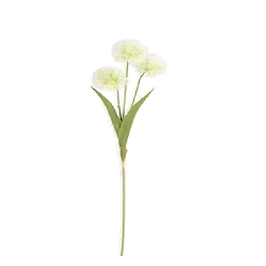 Ball Flower Stem — alternate view 2