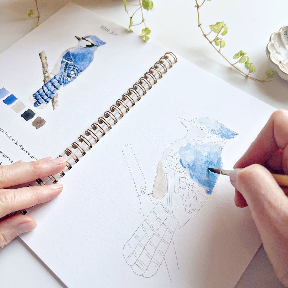 Birds Watercolor Workbook — alternate view 5