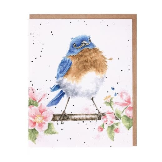 The Bluebird Card — alternate view 2