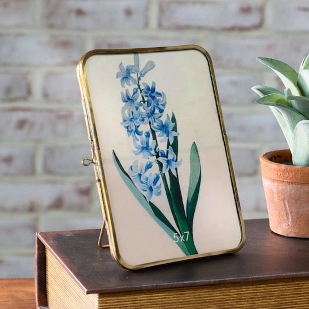 Antique brass 5x7 photo frame with a blue hyacinth botanical print, resting on a brown book by a small potted plant.
