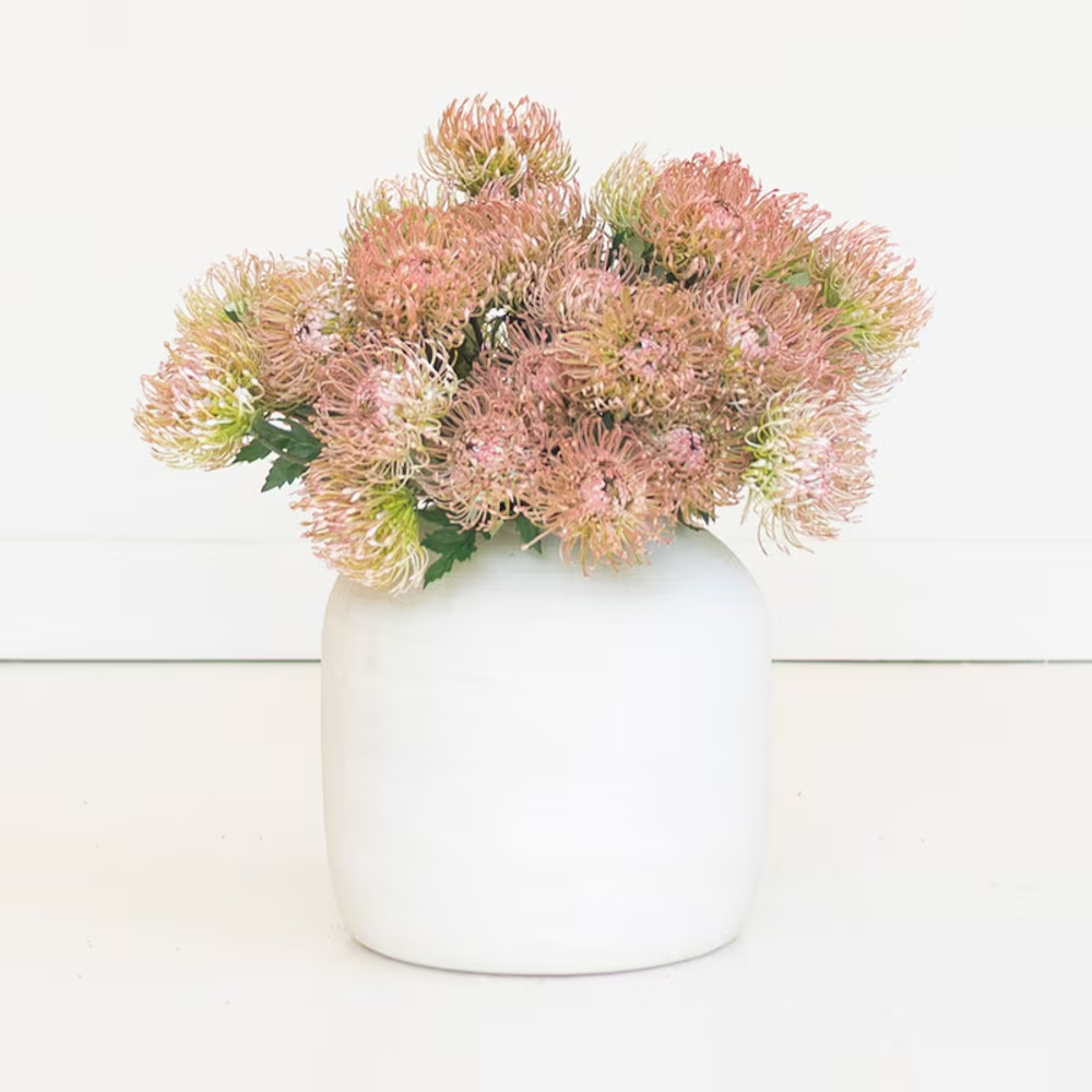 Full arrangement of artificial antique blush pincushion protea stems in a matte white vase.