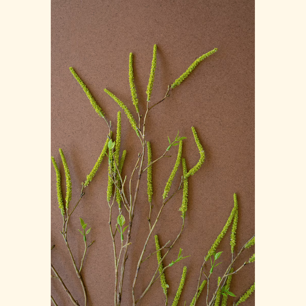 Artificial green willow flower spray with long textured catkins and small leaves on brown background for floral decor.