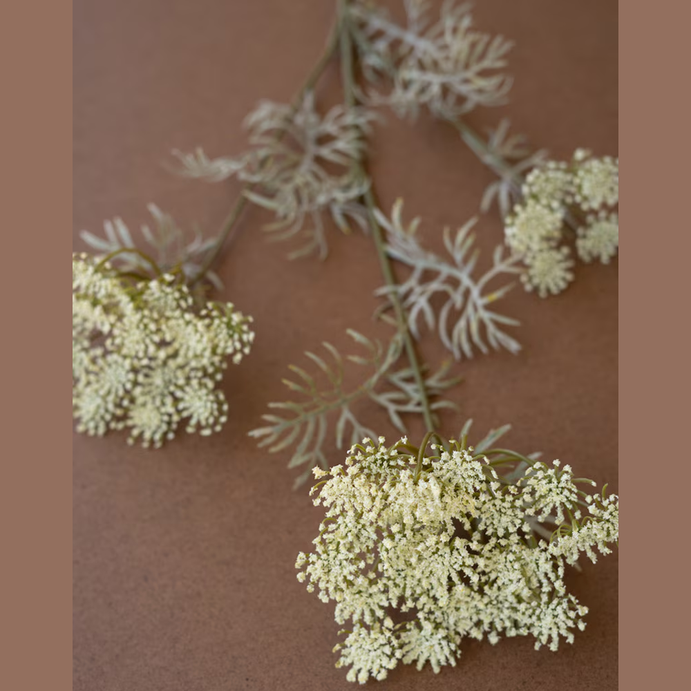 Artificial Queen Anne's lace flower spray with cream blossoms and feathery green foliage on a brown background.