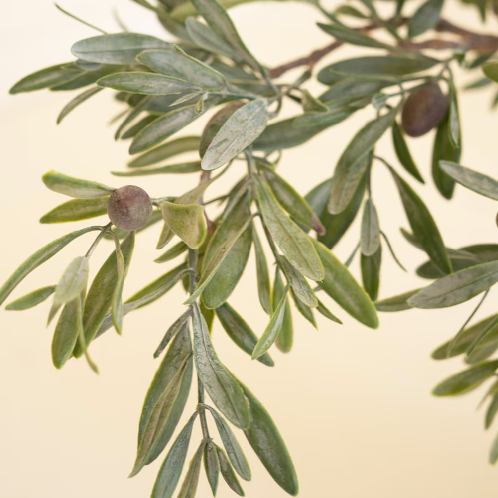Close-up view of dark olives and silvery-green foliage on an artificial olive branch.