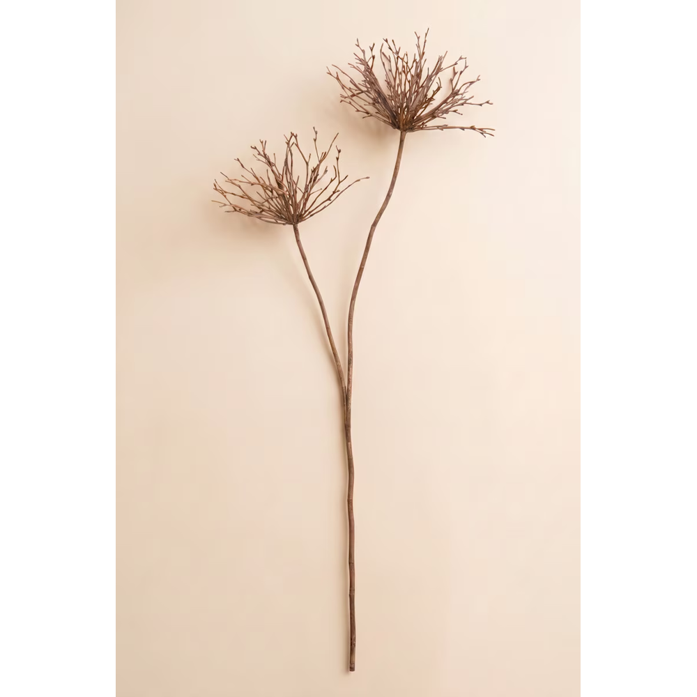 Artificial brown spider branch stem with two fan-like sprig clusters on a cream backdrop.