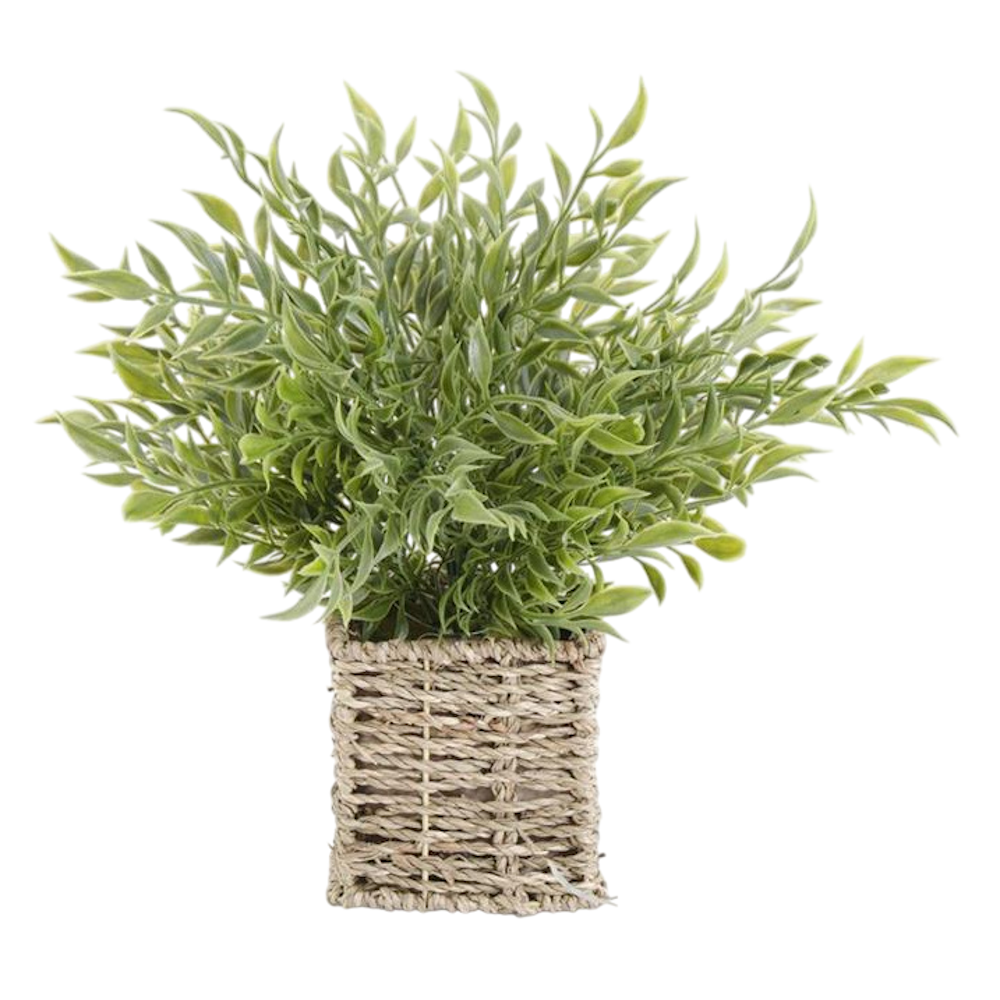 Artificial green herb plant in a square woven seagrass basket on a white background.