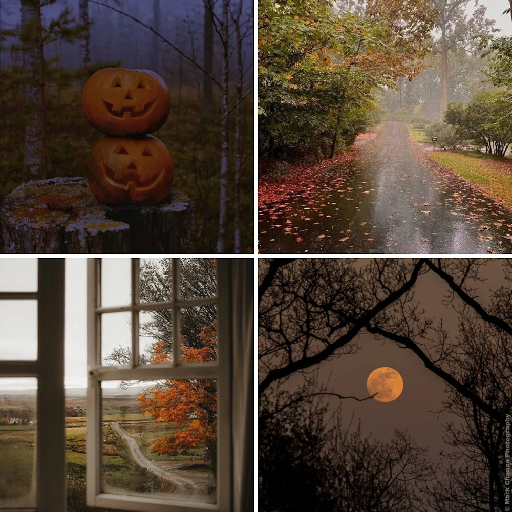 Four-panel autumn mood board collage featuring jack-o'-lanterns, fall foliage, and a full harvest moon.