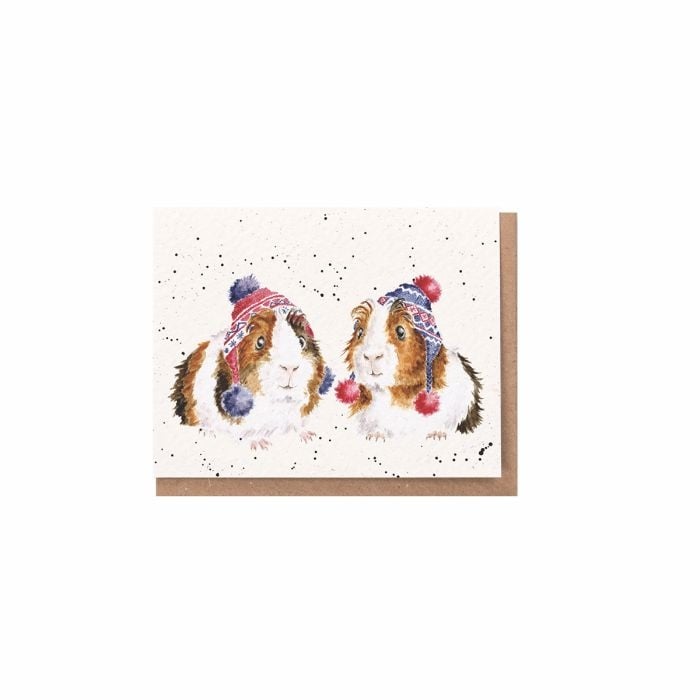 It's be-guinea… guinea pig enclosure card