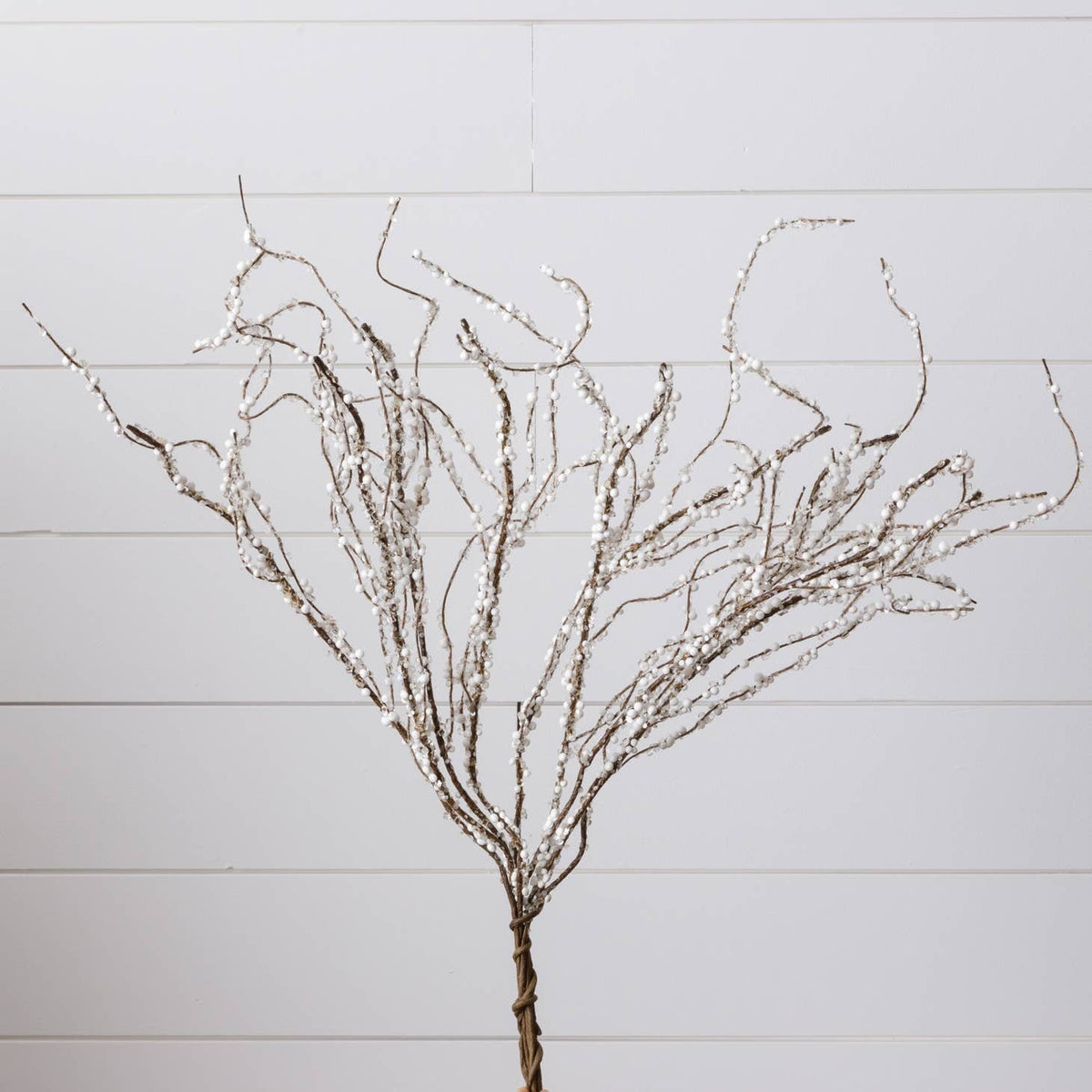 Branch - Ice Crystals and Snow