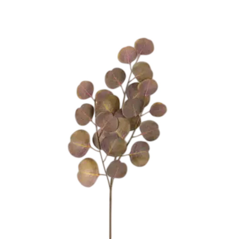 Artificial stem of silver dollar eucalyptus with rounded, muted beige and brown leaves on a single branch.