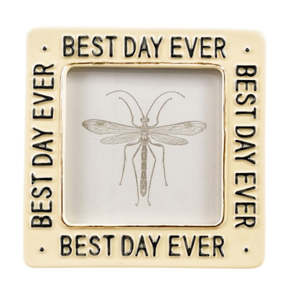 Cream-colored square picture frame embossed with "BEST DAY EVER" on all sides, featuring a dragonfly sketch.