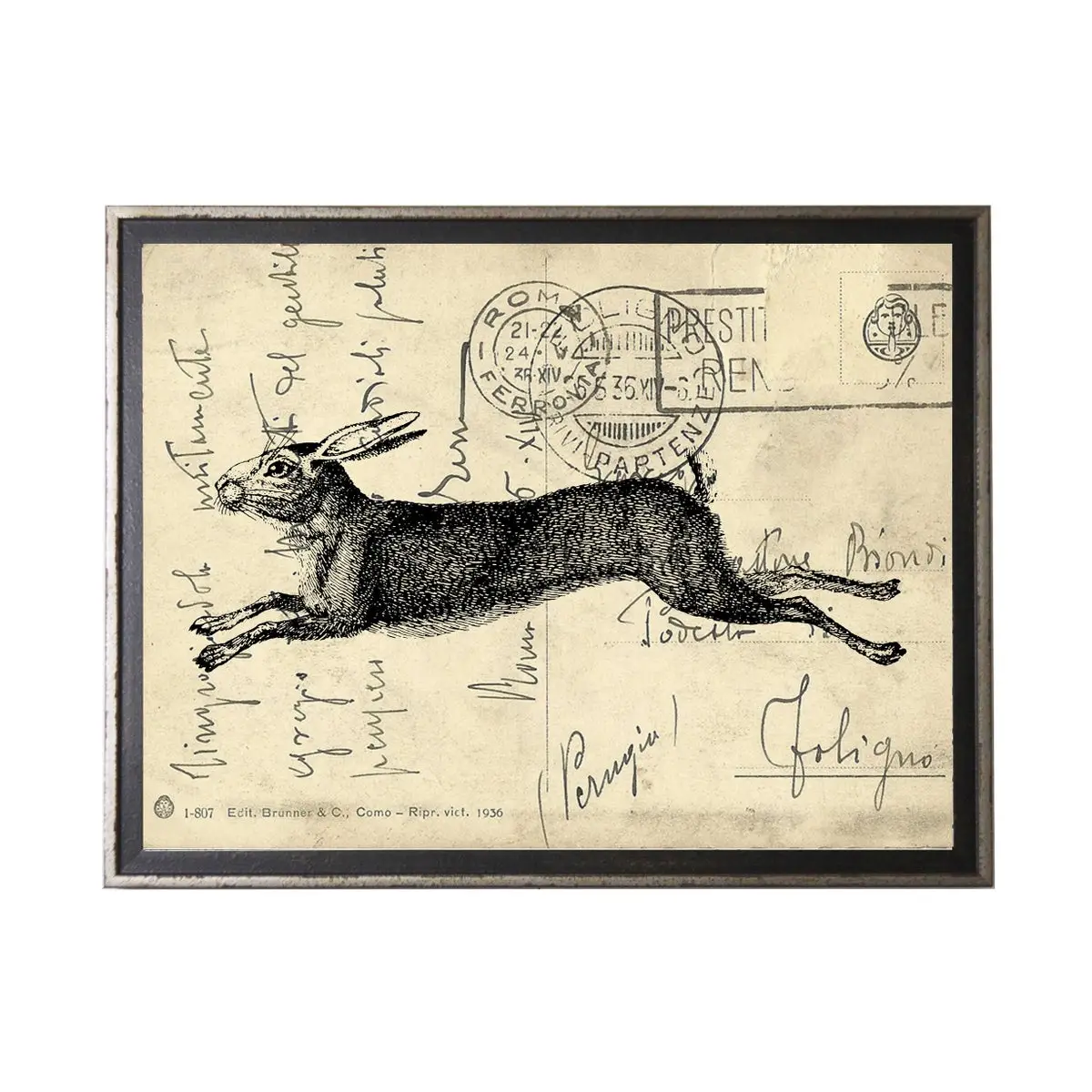 Hare On Calligraphy Postcard Background
