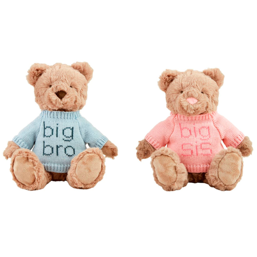 Pair of plush teddy bears wearing "big bro" blue and "big sis" pink sweaters for sibling announcement or gift.