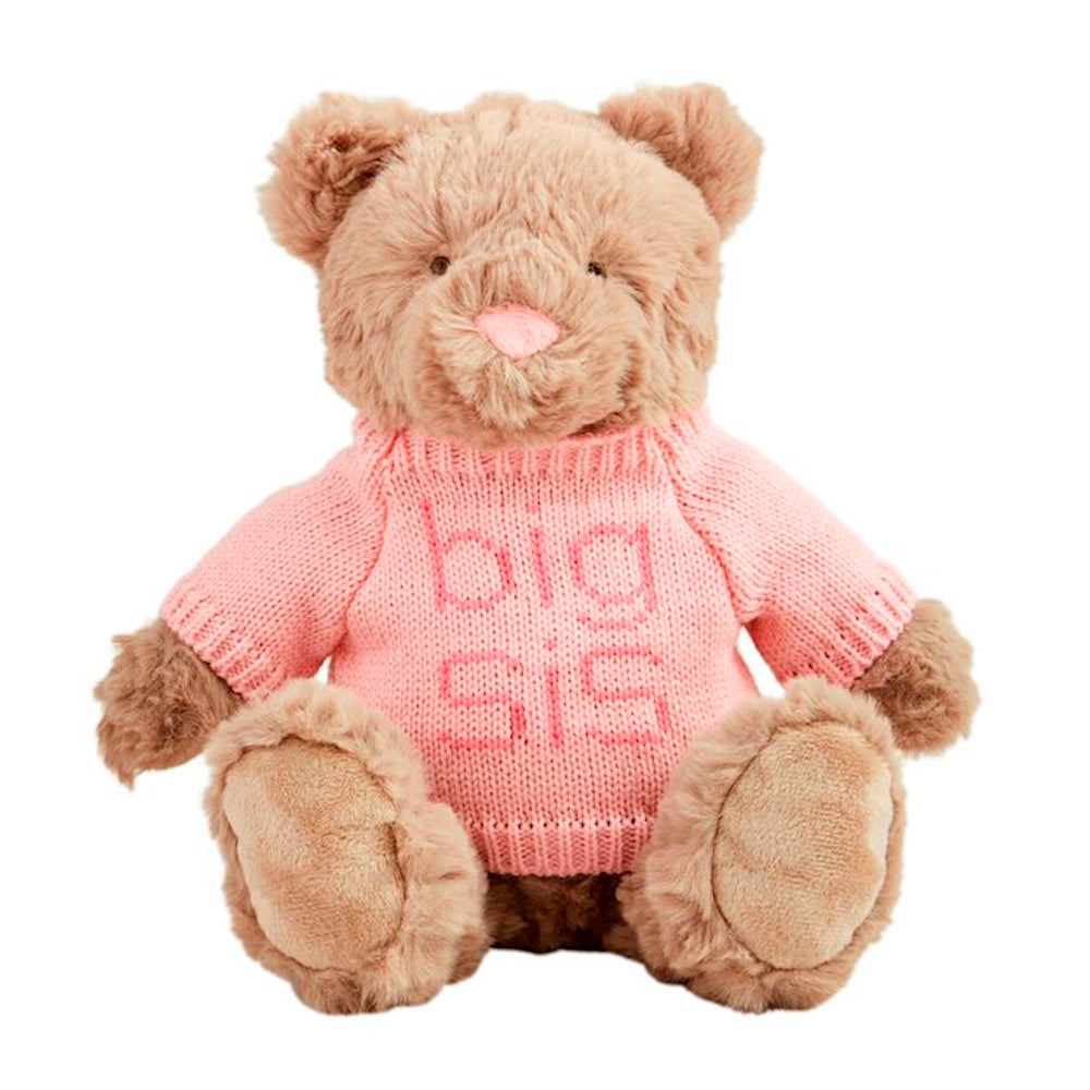 Plush brown teddy bear wearing a pink knit sweater with "big sis" embroidered on the front.