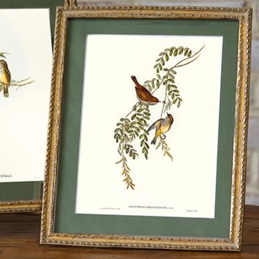 Vintage bird botanical print in a gold ornate frame with a forest green mat, featuring two birds on a branch.