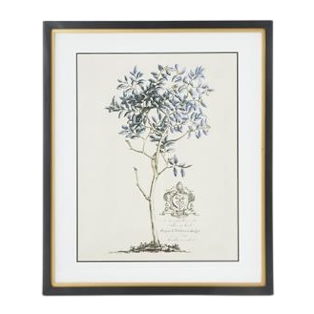 Framed botanical blue arbor tree print with vintage crest in a black and gold frame for elegant wall decor.
