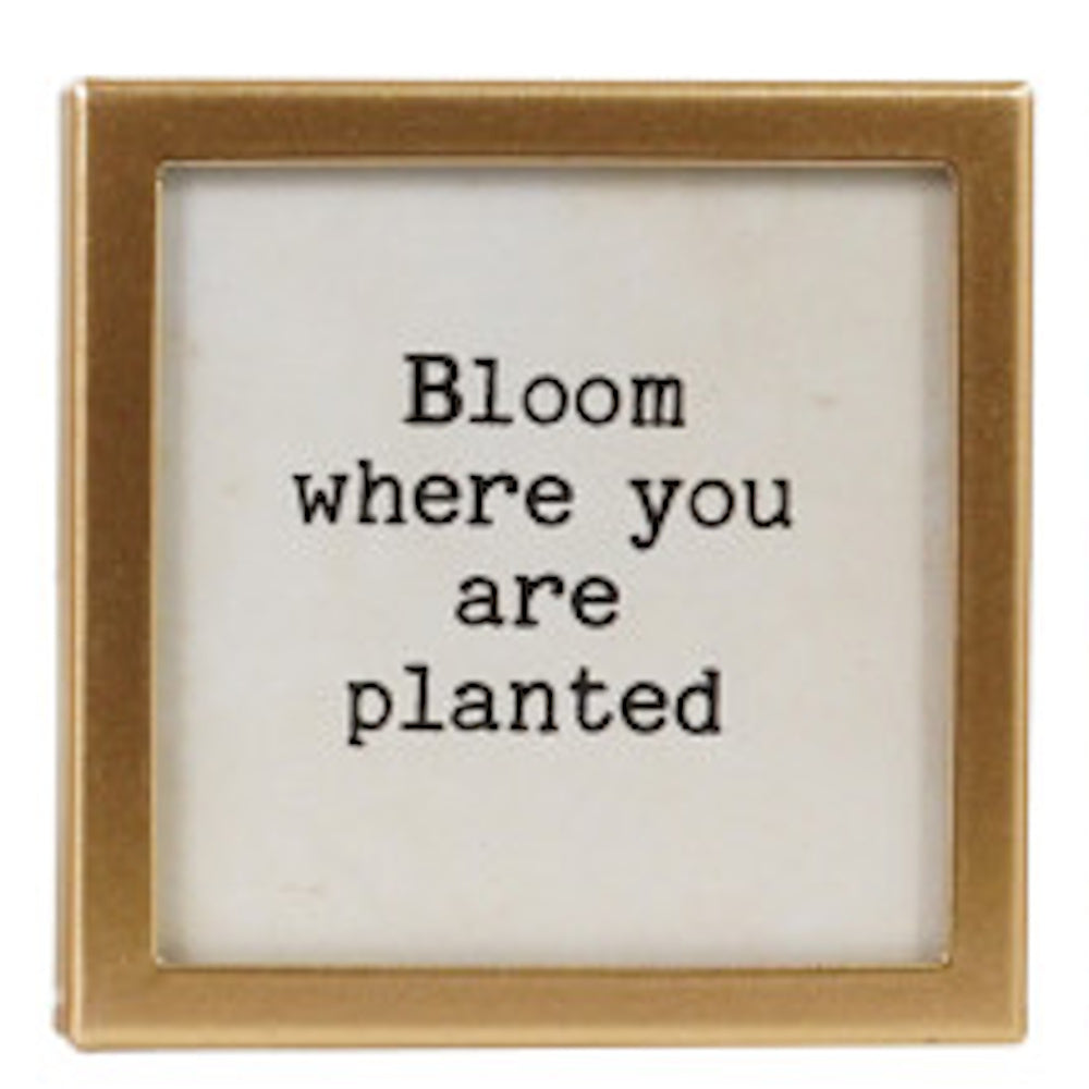 Square gold-framed magnet with the text "Bloom where you are planted".