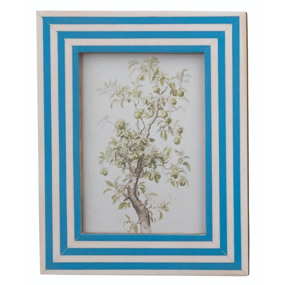 Rectangular picture frame with blue and white striped borders, displaying a botanical tree sketch.