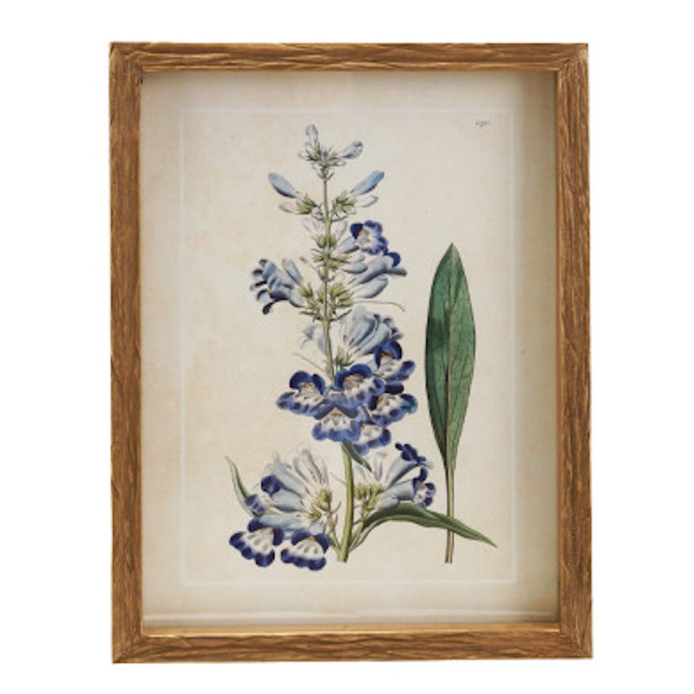 Vintage botanical blue flower art print in a textured brown wood frame.