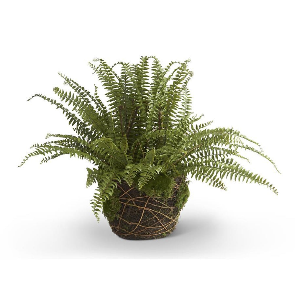 Artificial Boston fern plant in a rustic moss and twig basket planter on a white background.