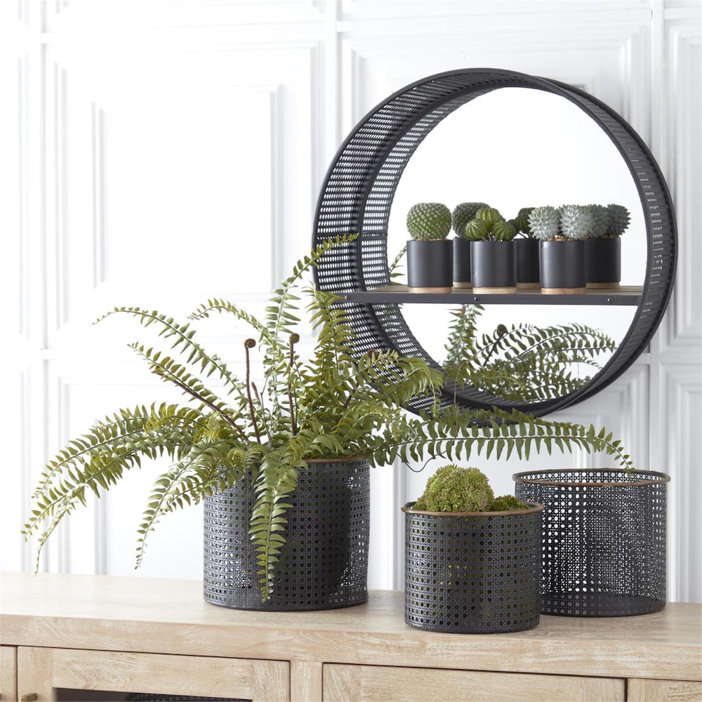 Potted Boston fern and moss in black perforated metal baskets on a wooden sideboard with a round wall mirror and cacti.