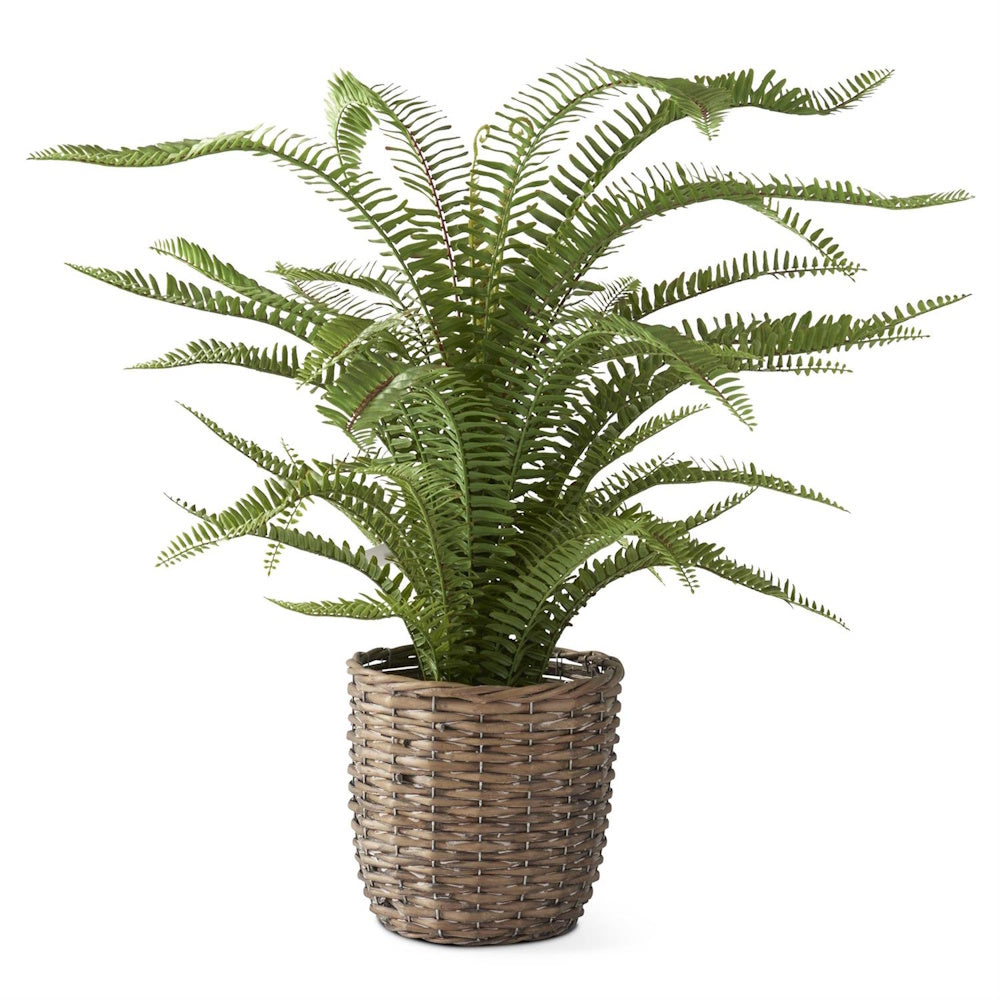 Artificial Boston fern in a woven rattan basket with faux dirt, large indoor faux plant for home decor.