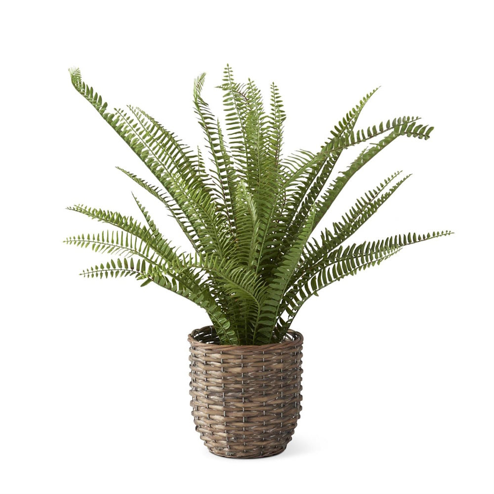 Artificial Boston fern in a woven rattan basket with faux dirt, realistic indoor potted greenery plant decoration.