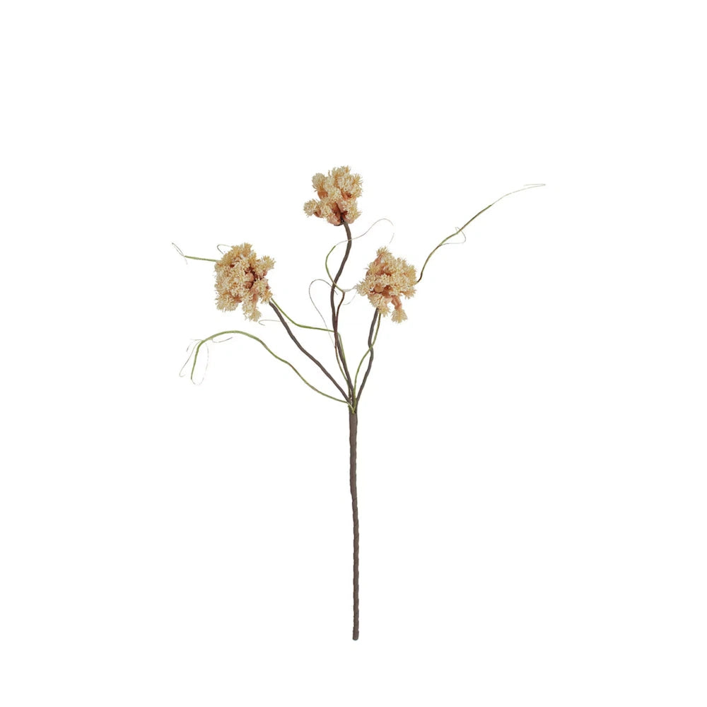 Botanica #2844 — alternate view 2